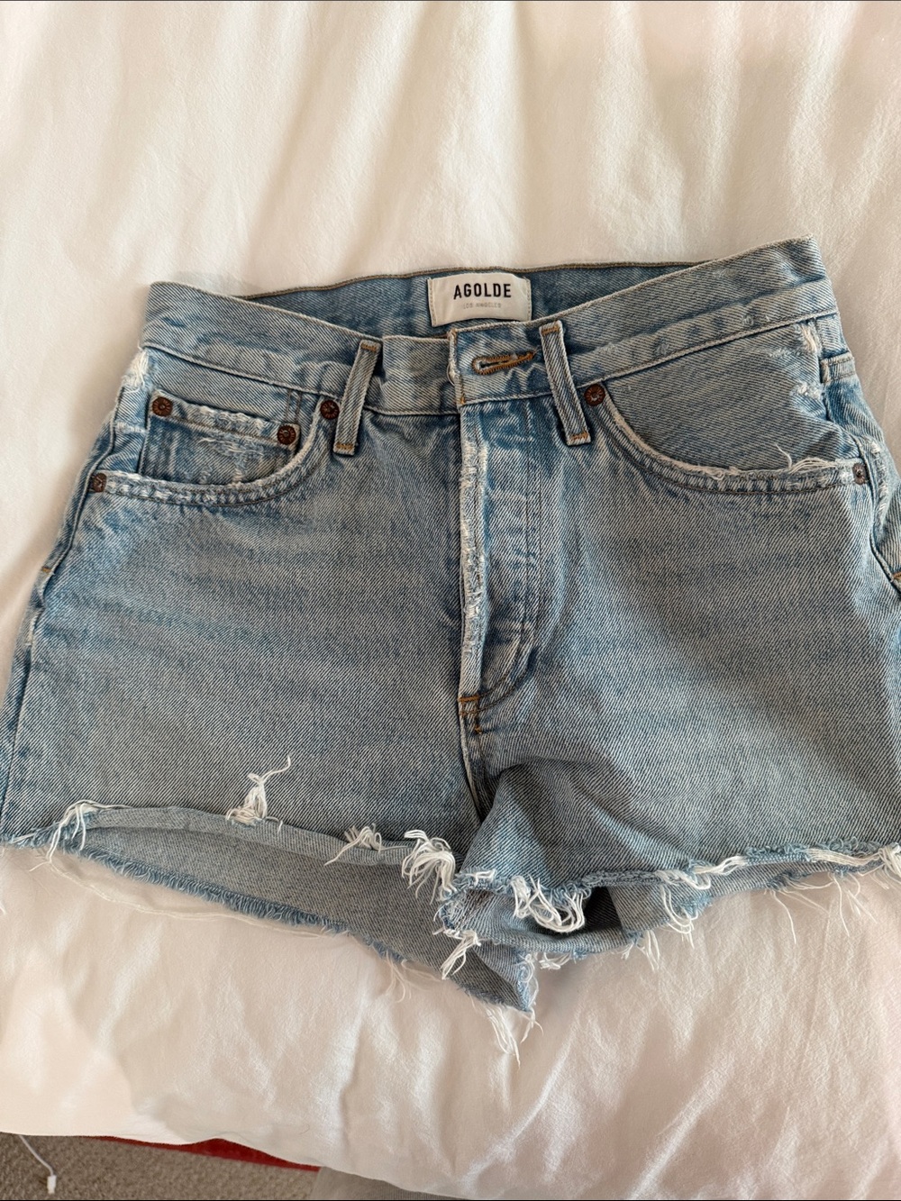 Agolde Parker Shorts
